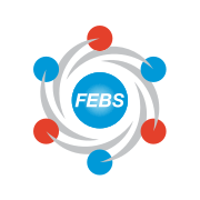 Federation of European Biochemical Societies