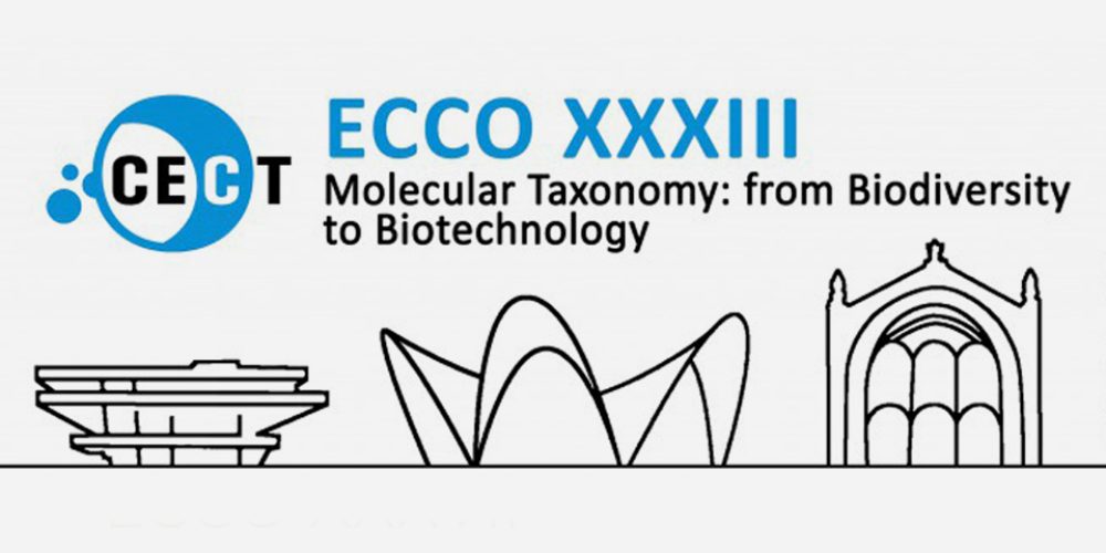 Ecco 2014 deals