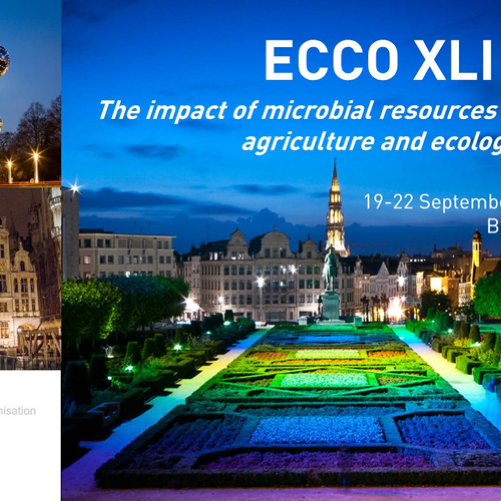Opening of the registrations for the ECCO meeting in September
