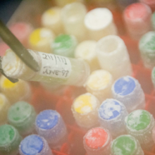 CCAP Algaculture training course &#8211; in person at SAMS, Oban