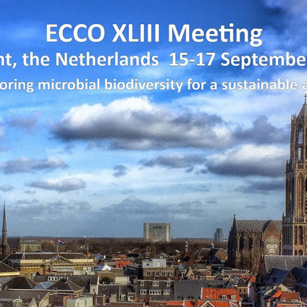 Registration for ECCO XLIII (Utrecht. the Netherlands) is now open!