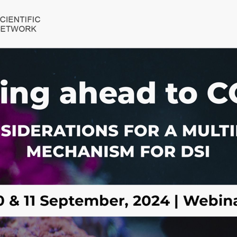 DSI: Looking ahead to COP16