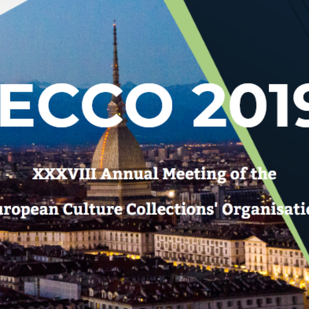 ECCO XXXVIII. Torino, Italy