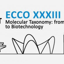 ECCO XXXIII. Valencia, Spain