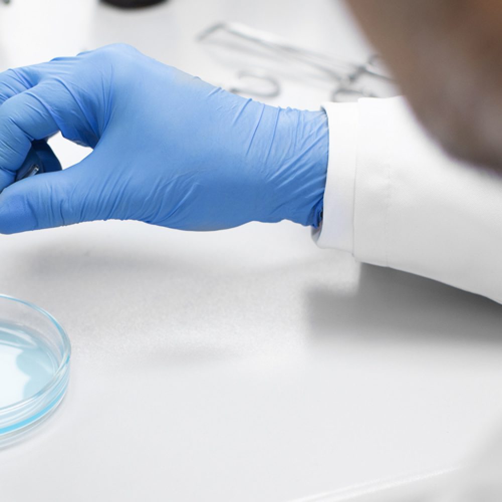 Position paper – Exchange of strains between Culture Collections