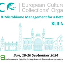 ECCO XLII. Bari, Italy