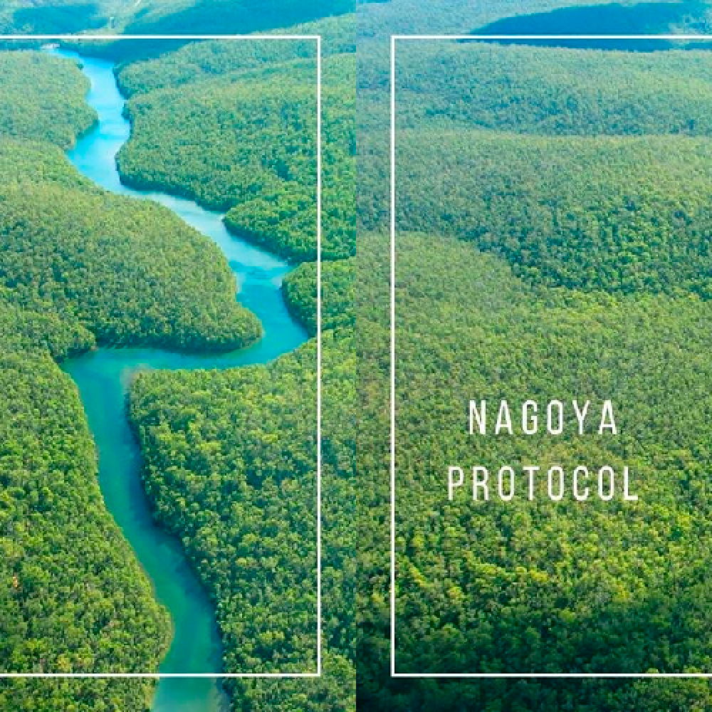 Nagoya protocol