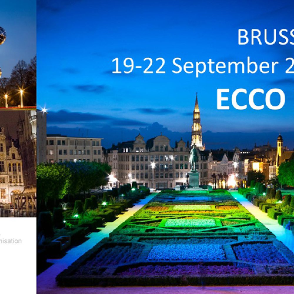 ECCO XLI. Brussels. Belgium