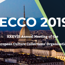 ECCO XXXVIII. Torino, Italy