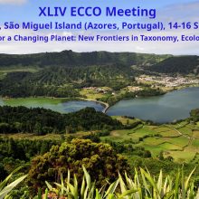 Registration for ECCO XLIV (Ponta Delgada, São Miguel Island, Azores, Portugal) is now open!