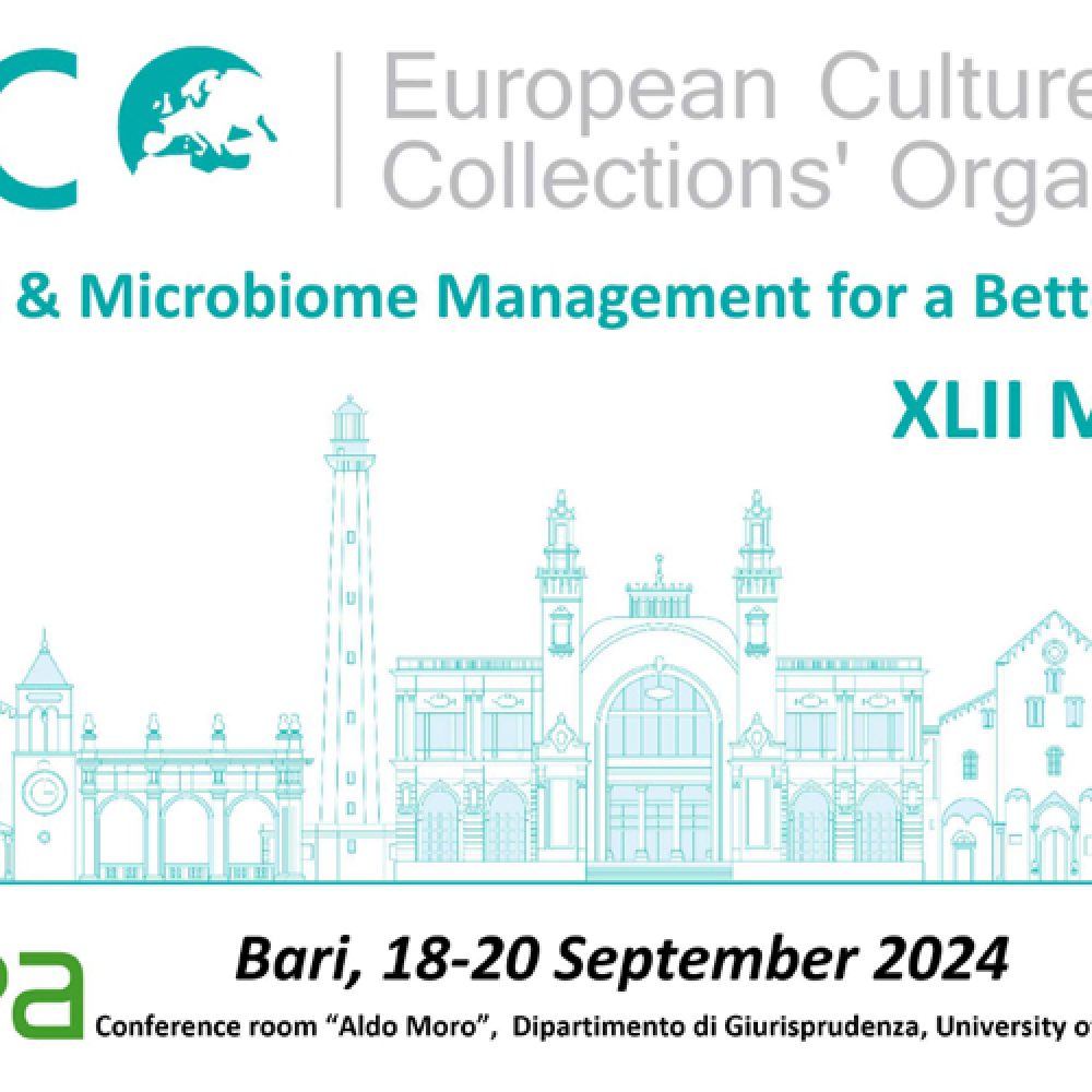 ECCO XLII. Bari, Italy